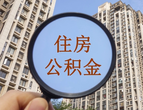 淮南退休后查不到公积金明细了吗（退休后公积金查询不到原因）